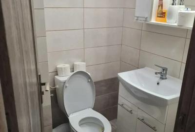 Berceni huedin demisol fara bucatarie - 3