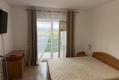 Apartament cu 2 camere decomandat, mobilat în Calea Poplăcii - 8