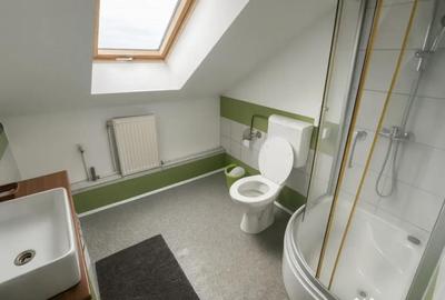 Apartament cu 3 camere în Tilișca - 5