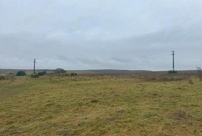 Vanzare 10.000 mp teren Liteni Suceava- la strada -potrivit proiect fonduri - 16