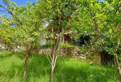 Casă cu 3 camere cu Teren 4873 Mp în Moldovenești - 16