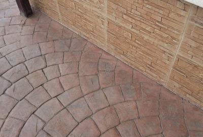 Vand casa in Unirea - 4