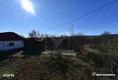 Teren de 800 mp, în Mănăstireni - 3