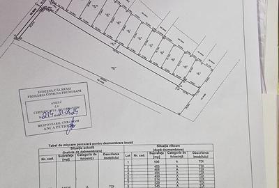 Teren de 14635 mp, în Frumușani