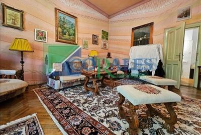 Cladire istorica. Suprafete generoase. Langa parcul Ghe. Doja! - 5