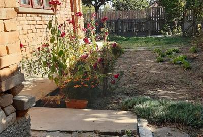 Casă cu 4 camere cu Teren 3120 Mp în Bogata - 2