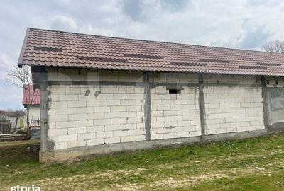 Casă cu 4 camere cu Teren 2200 Mp în Podari - 2