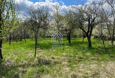 Teren de 4872 mp, în Antoceni - 9