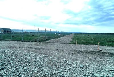 Teren extravilan  de vanzare | 8000 mp|- Valea Avrigului - 7