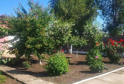 Casă cu 6 camere în Independența - 5