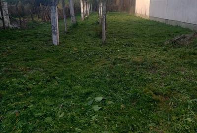 Casă cu 2 camere în Câlnic - 5