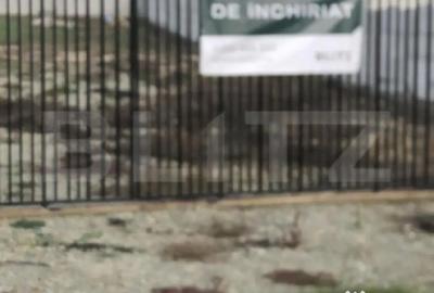 Teren de 450 mp, în Central - 8