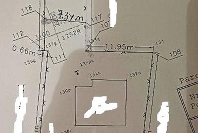 Pantelimon/Ilfov - 15