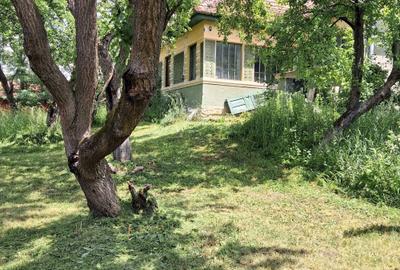 Casă cu 3 camere în Delenii - 13