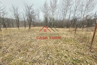 Casă cu Teren 1358 Mp în Gura Beliei - 12