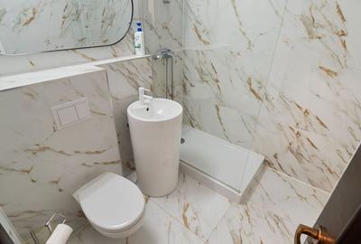 Apartament cu 3 camere decomandat în Calea Călărașilor - 3