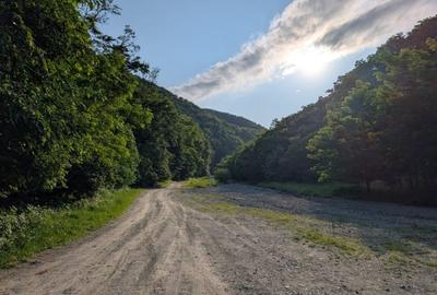 Sarata Bai- Oportunitate investitie- 4038 mp- priveliste spectacol - 14