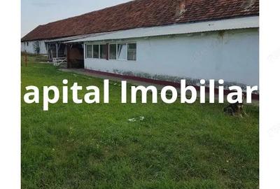 Ferma langa Oravita 5600 mp construiti si teren 24281 intravilan - 5