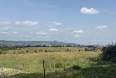 Teren de 500 mp, în Central - 2