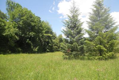 Teren de 10000 mp, în Central - 4