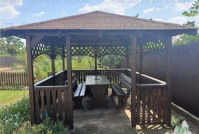 Casa moderna de vanzare in com. Rosiori, jud. Ialomita - 10