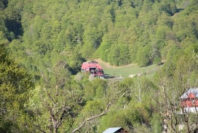 Casa de Vacanta / Cabana / Vila / Pensiune / Lepsa Vrancea -Munte - 3