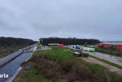 Teren de 10000 mp, în Găneasa - 4