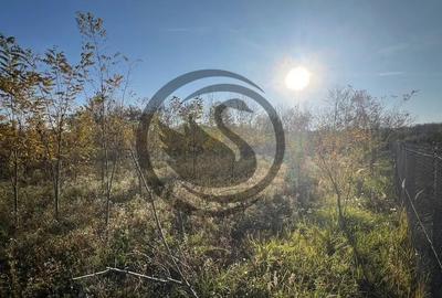 Teren de 12650 mp, în Ghirdoveni - 5