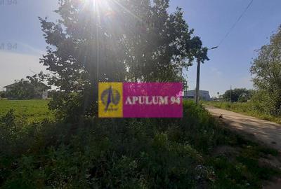 Teren de 5000 mp, în Copăceni - 16