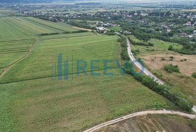 Teren de 3600 mp, în Racova - 3
