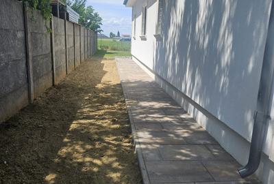 Casă cu 3 camere în Șag - 3