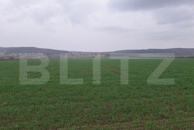 Teren extravila CUGIR 10.000 mp - 1