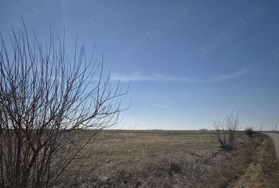 Teren de 36800 mp, în Scutelnici - 3
