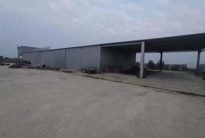 Exclusivitate Hala Padureni 400000 euro - 11