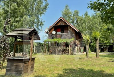 Cabana rustica de vis pe Valea Avrigului - un colt de rai in mijlocul naturii