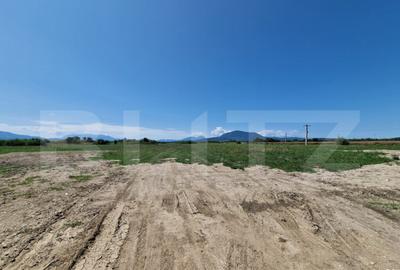 Teren de 6300 mp, în Hălchiu