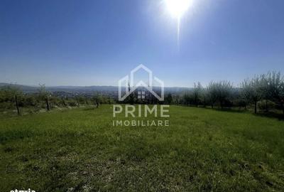 Spațiu comercial, în Cetate