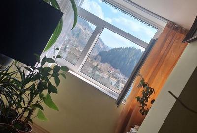 Apartament cu 2 camere decomandat în Broșteni - 4