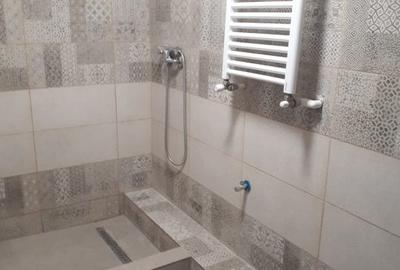 Apartament 2 camere Calea Calarasilor cu gradina - 8