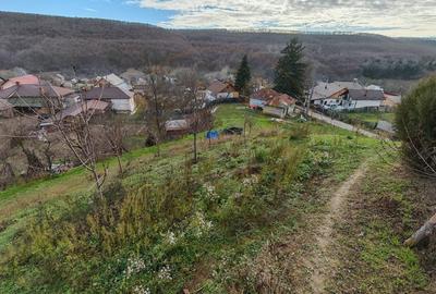Teren intravilan cu casa veche – Mioveni, zona Faget - 8