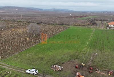 Teren Construcții intravilan de 3888 mp, în Merei - 2