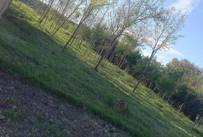 Casă cu 2 camere cu Teren 132 Mp în Ceanu Mare - 14