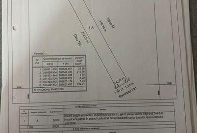 Teren de 10702 mp, în Gruiu - 3