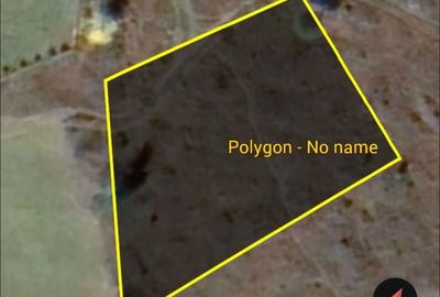 Teren de 1000 mp, în Muntele Băișorii - 2