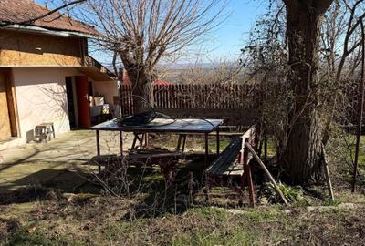 Casă cu 4 camere în Pietroasele - 6