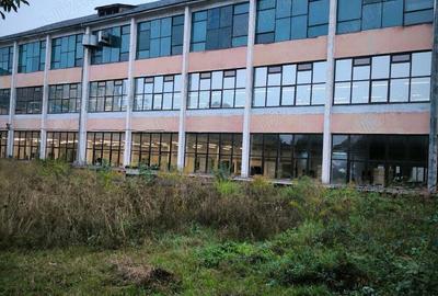 Spațiu comercial, de 2,500 mp, în Sighetu Marmației - 1