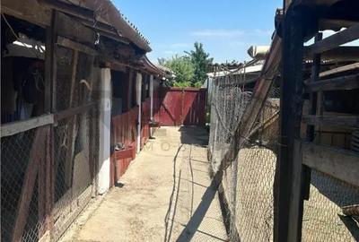 Casă cu 3 camere cu Teren 3300 Mp în Felcheriu - 9