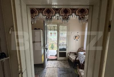 Teren 3000 mp + 2 case de vanzare-Ca?eiu - 10