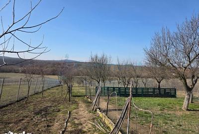 Casă cu 5 camere cu Teren 3316 Mp în Oșorhei - 13