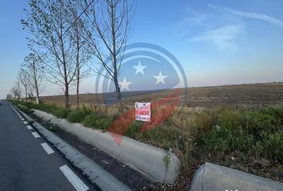 Teren de 9743 mp, în Valea Rosie - 1